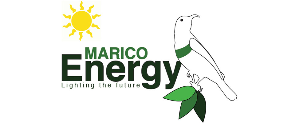 Marico Energy
